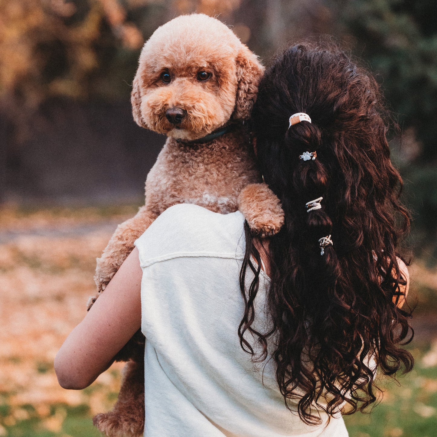 "Paws" Natural Hues with Silver and Paw Accents Hair Tie Bracelet