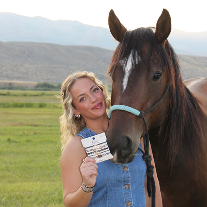 "Gallop" Horse & Bit Equestrian Accents in Rich Brown & Blue Hair Tie Bracelets